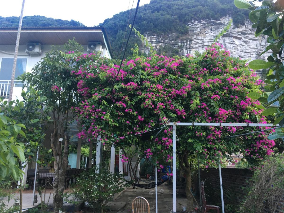 Cat Ba Countryside Homestay Dong Khe Sau Экстерьер фото